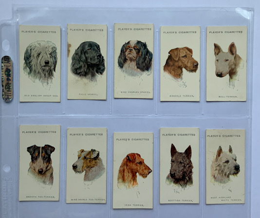 Players 1927 Dogs A series 25 Cigarette Cards set
